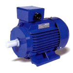 ENGA Induction Motor