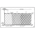 Trammel Net